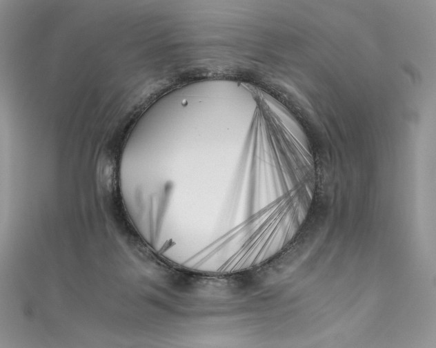 X0000111010123200907061003