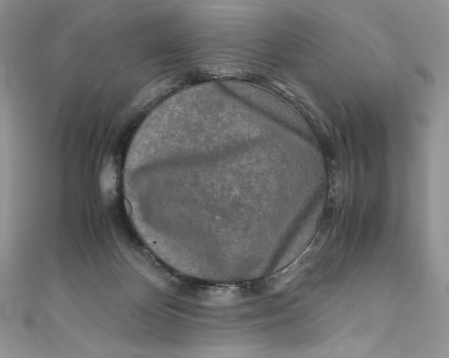 X0000111010124200907061003