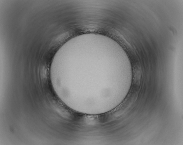 X0000111010126200907061003