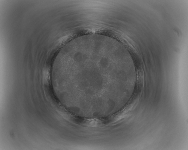 X0000111010127200907061003