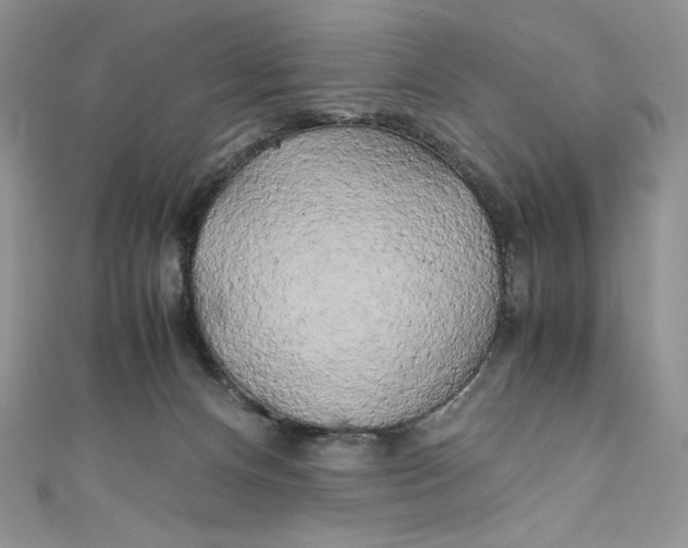 X0000111010128200907061003