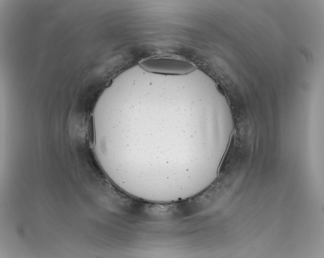 X0000111010129200907061003