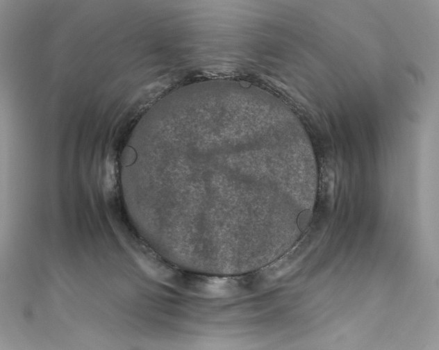 X0000111010130200907061003