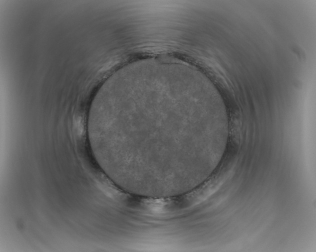 X0000111010131200907061003