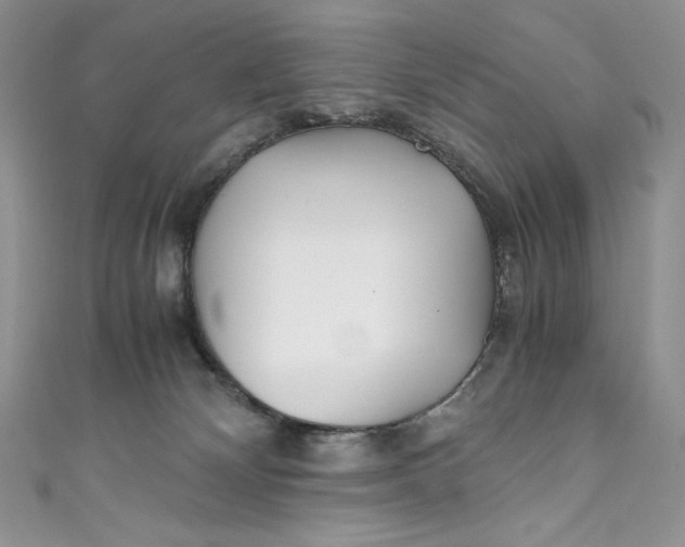X0000111010132200907061003