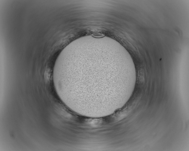 X0000111010135200907061003