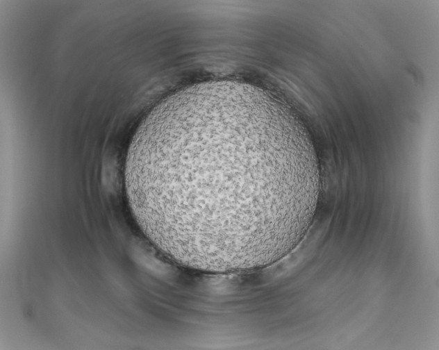 X0000111010136200907061003
