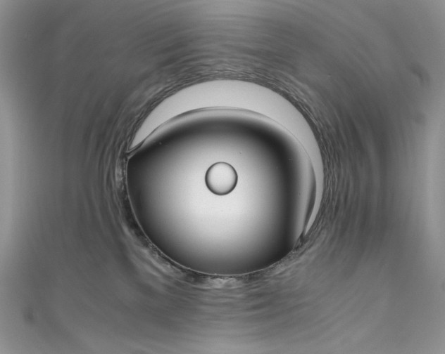 X0000111010137200907061003
