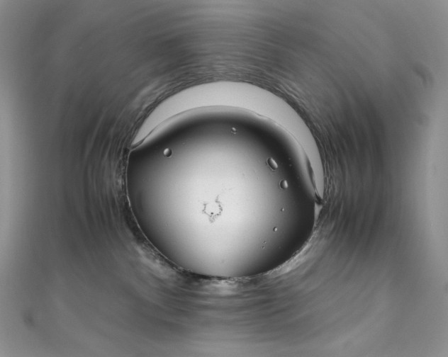 X0000111010140200907061003