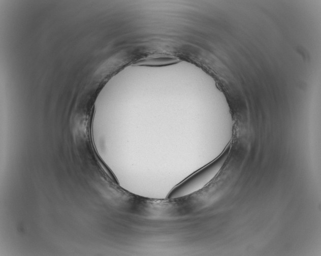 X0000111010141200907061003