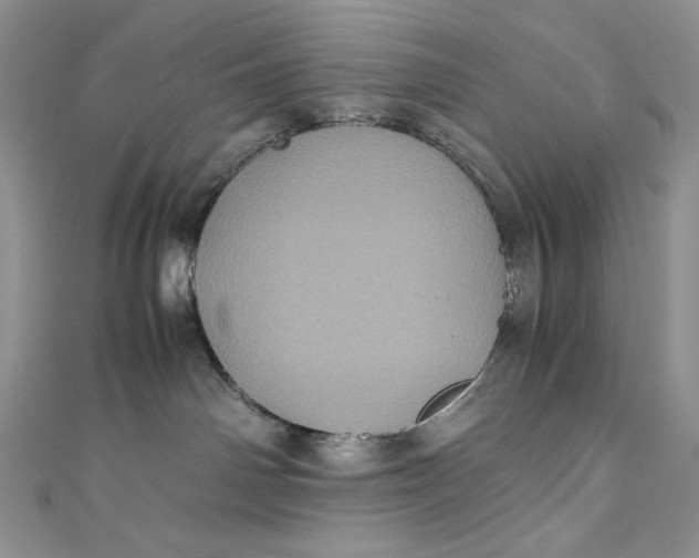 X0000111010142200907061003