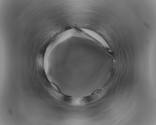 X0000111010143200907061003