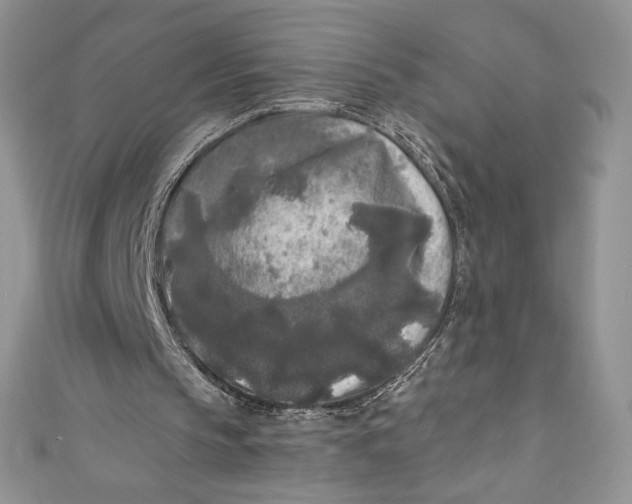 X0000111010145200907061002