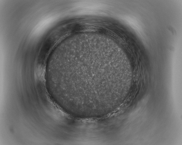 X0000111010146200907061002