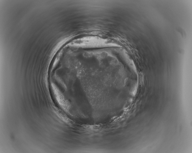 X0000111010147200907061002