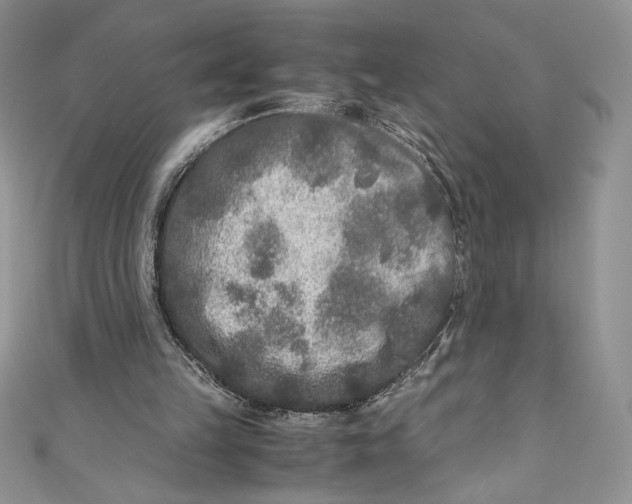X0000111010149200907061002