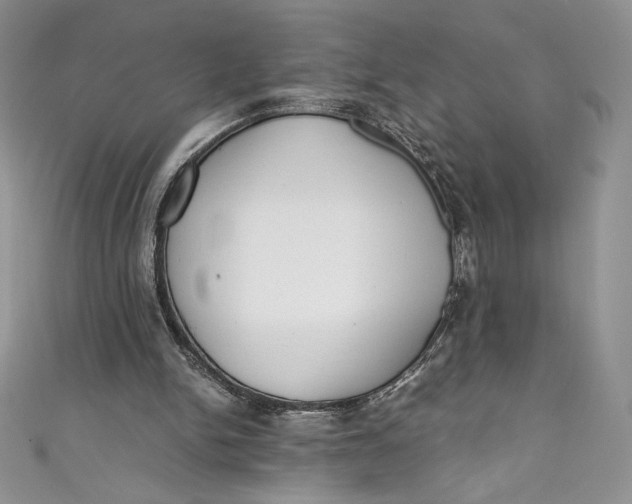X0000111010150200907061002
