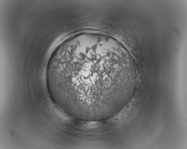 X0000111010151200907061002