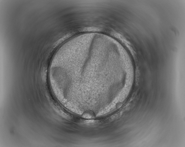 X0000111010153200907061002