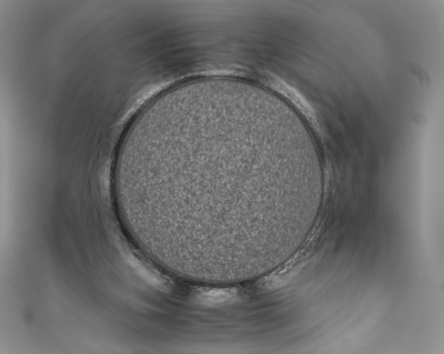X0000111010155200907061002