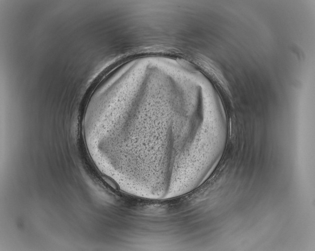 X0000111010156200907061002