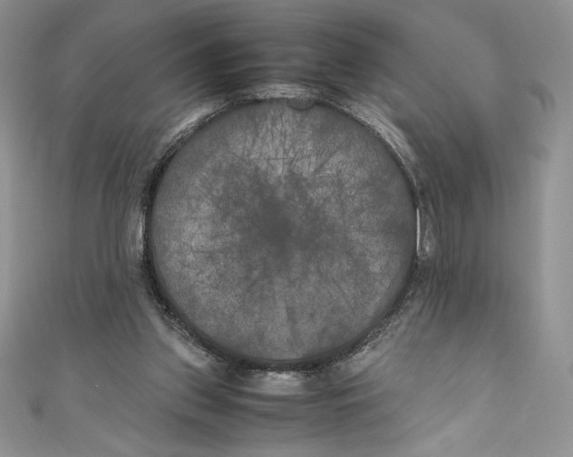 X0000111010157200907061002