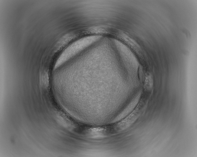X0000111010158200907061002