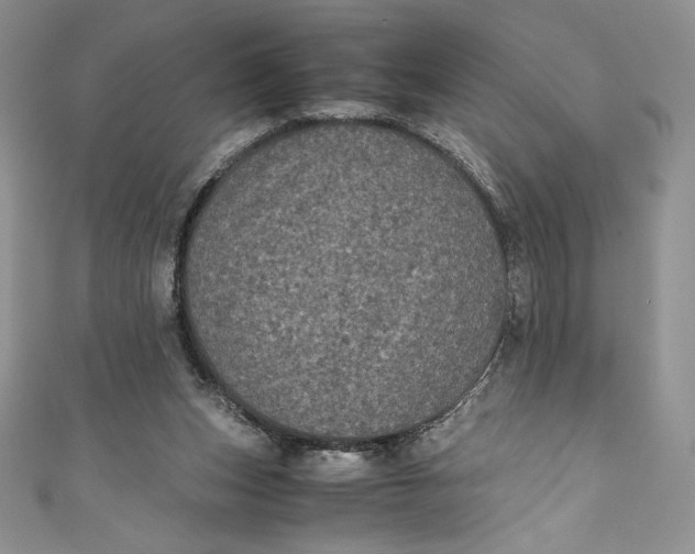 X0000111010159200907061002