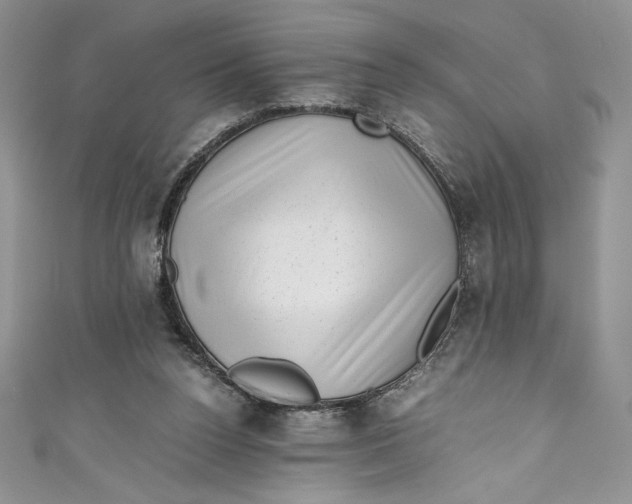 X0000111010160200907061002