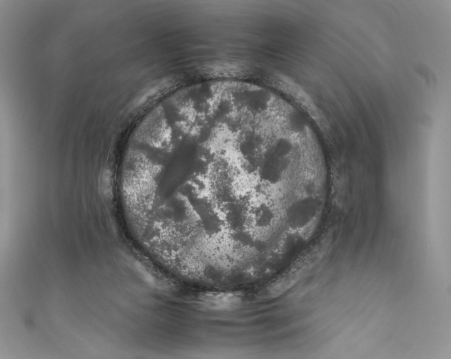 X0000111010161200907061002