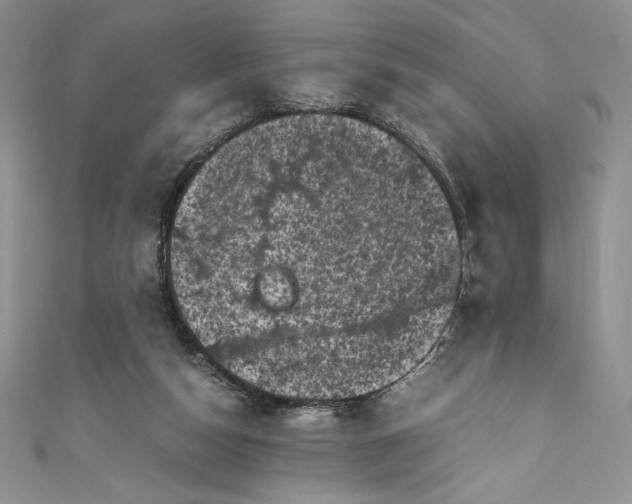 X0000111010162200907061002