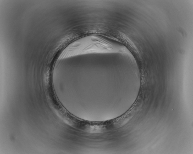 X0000111010163200907061002