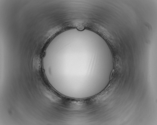 X0000111010164200907061002