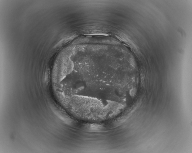 X0000111010165200907061002