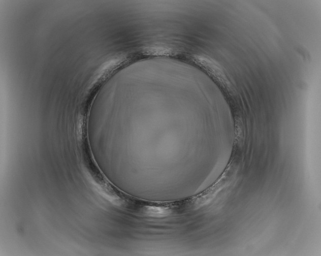X0000111010167200907061002