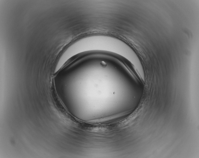 X0000111010168200907061003