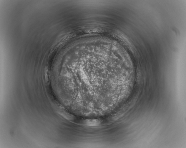 X0000111010169200907061003