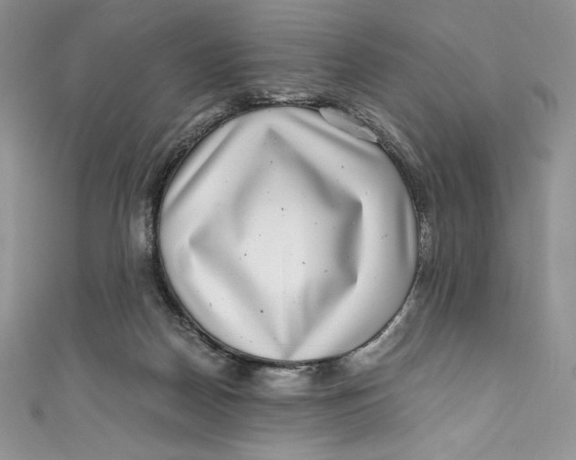 X0000111010170200907061003