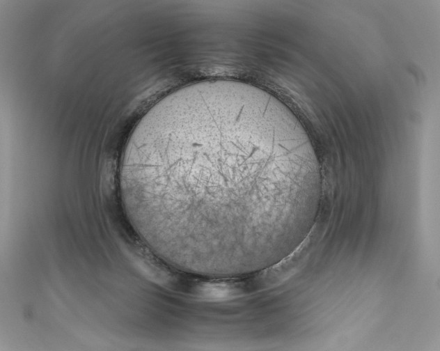X0000111010171200907061003