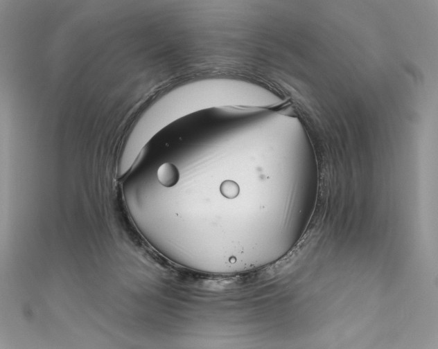 X0000111010172200907061003
