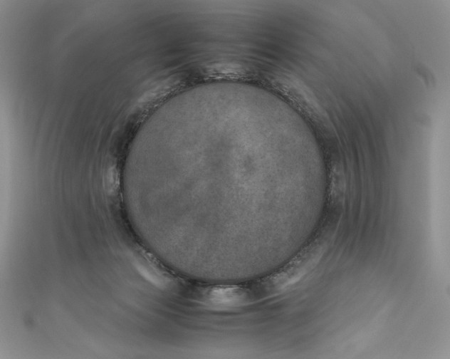 X0000111010173200907061003