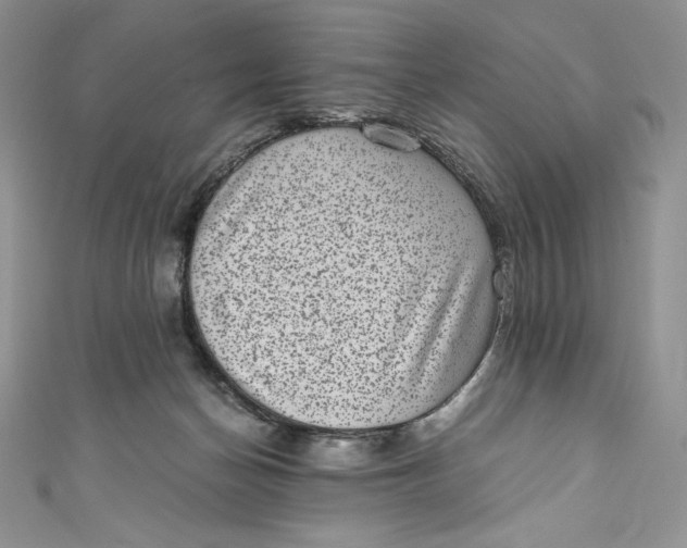 X0000111010174200907061003