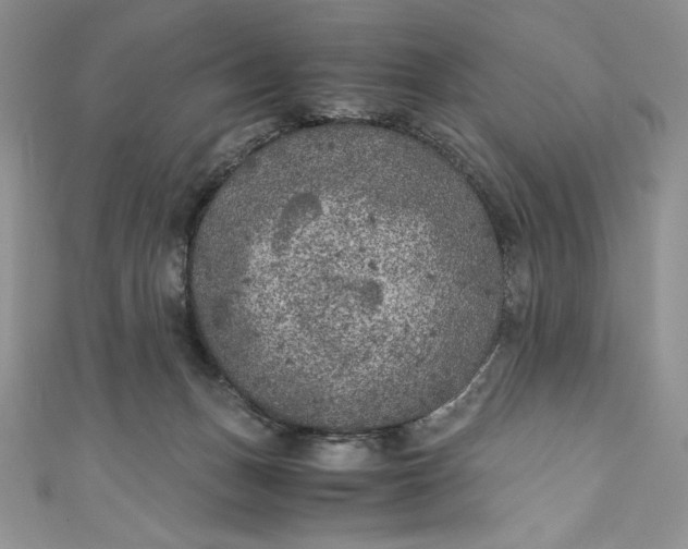 X0000111010175200907061003