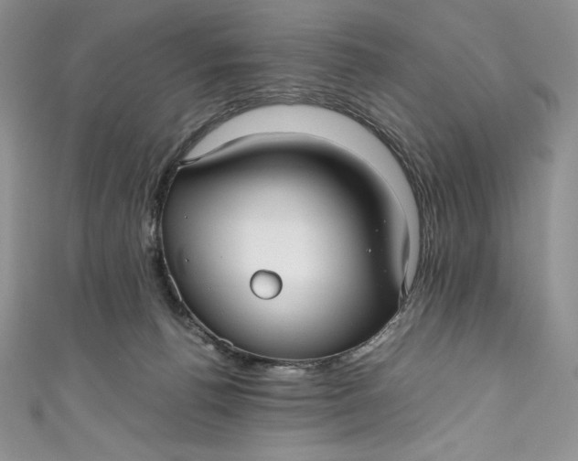 X0000111010176200907061003