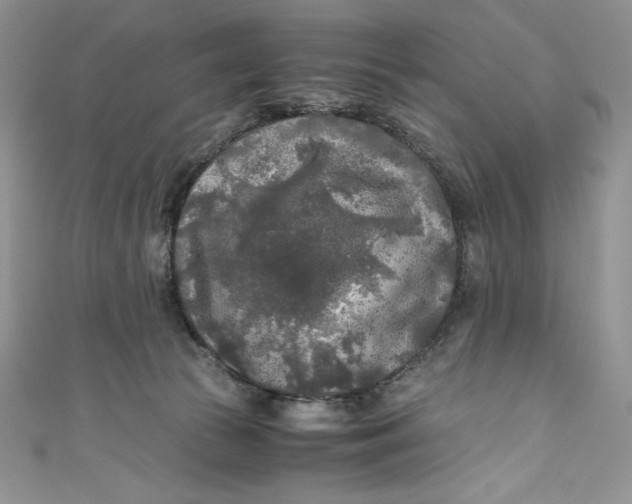 X0000111010177200907061003