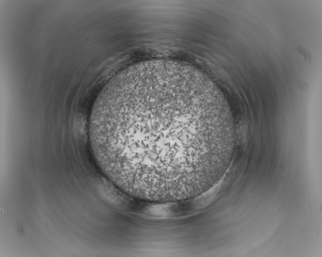 X0000111010178200907061003