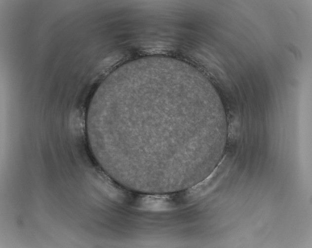 X0000111010179200907061003