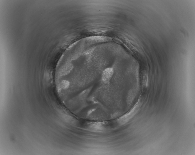X0000111010182200907061003