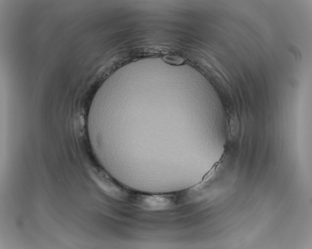 X0000111010183200907061003