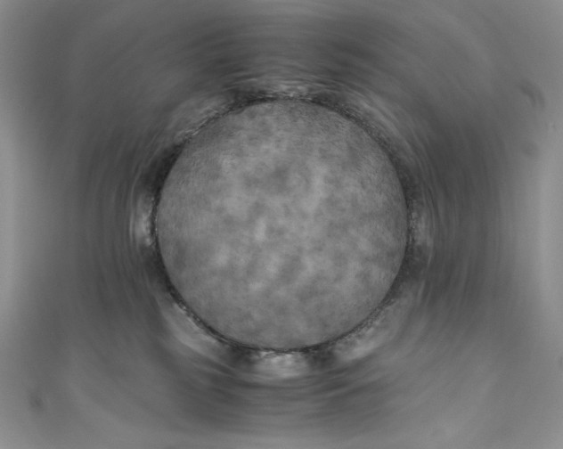 X0000111010185200907061003